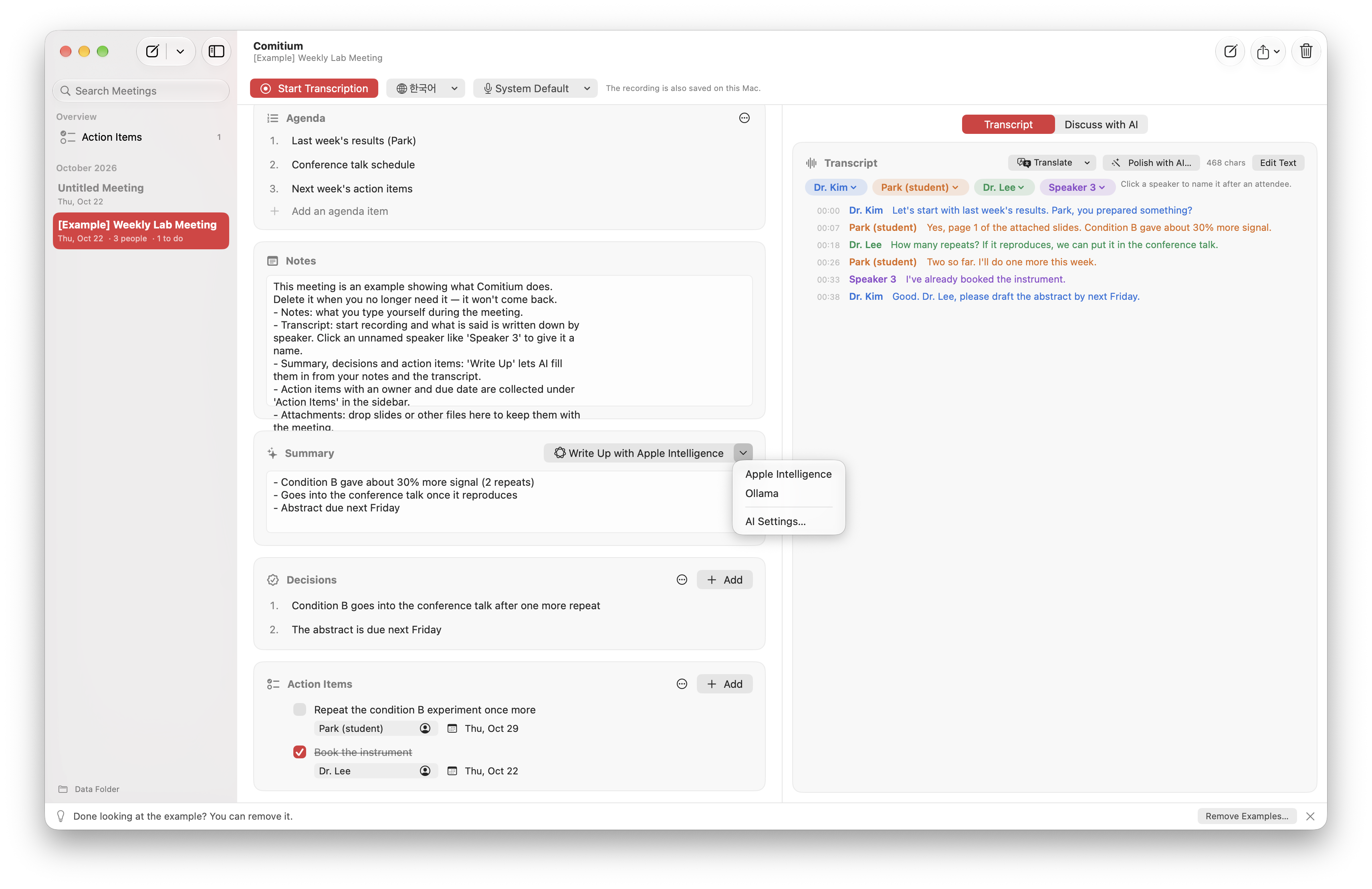 AI that runs only on your Mac screenshot